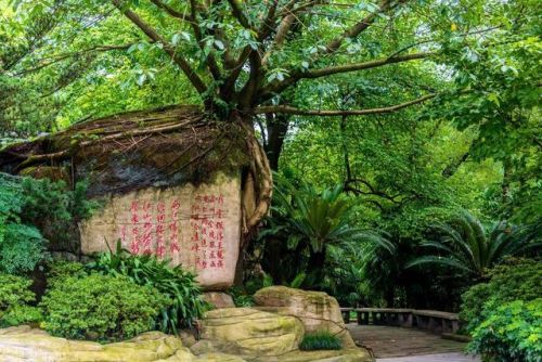 重庆市内景点排行榜(重庆市的旅游景点排名)插图23