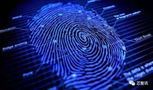 指纹芯片出货量排行榜(国内指纹识别龙头公司)插图 指纹芯片出货量排行榜(国内指纹识别龙头公司)插图