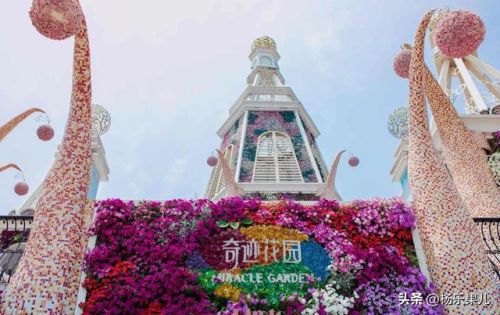 闵行好玩的地方排行榜(闵行十大必去景点)插图2