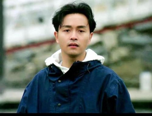 帅的明星男明星排行榜(中国公认十大美男)插图4