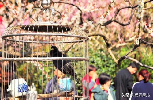 闵行好玩的地方排行榜(闵行十大必去景点)