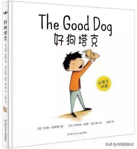 人气总排行榜狗狗书籍(哪些养狗的书比较实用)插图72