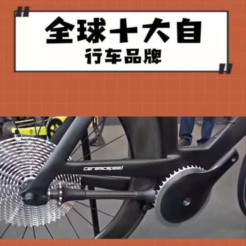 全球自行车品牌排行榜(世界10大顶级自行车品牌)插图