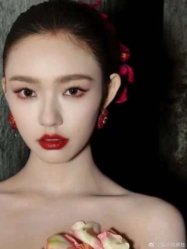 中国女演员收入排行榜(2023年影响力女演员)插图17