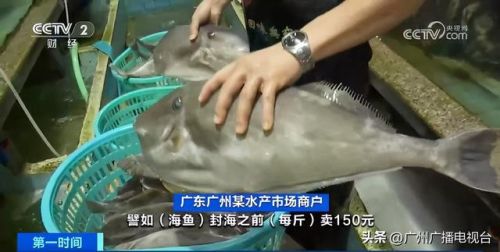 广州吃海鲜地方排行榜(广州吃海鲜大排档一条街)插图5