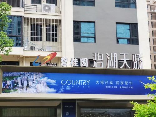 广东富豪榜2017排行榜(世界最新福布斯排行榜)插图1