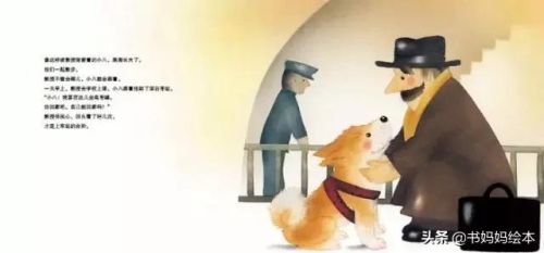 人气总排行榜狗狗书籍(哪些养狗的书比较实用)插图15