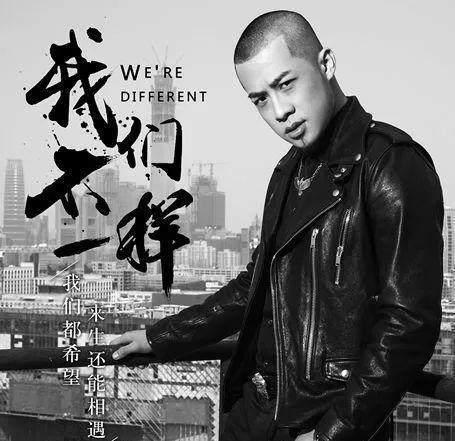 2017年第一网红排行榜(2019十大网红人物)插图6