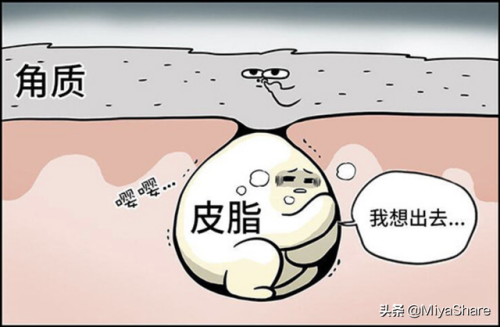 无激素祛痘产品排行榜(中医祛痘)插图2