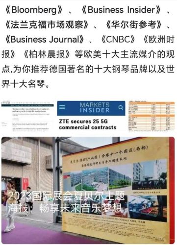 德国手风琴品牌排行榜(手风琴的样子图片)