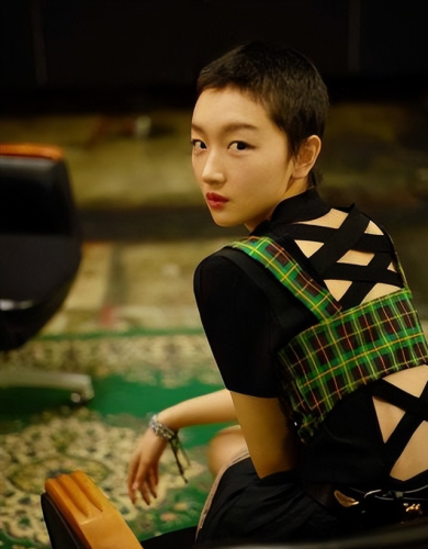 一线女星片酬排行榜(2023年中国片酬排行榜)插图36