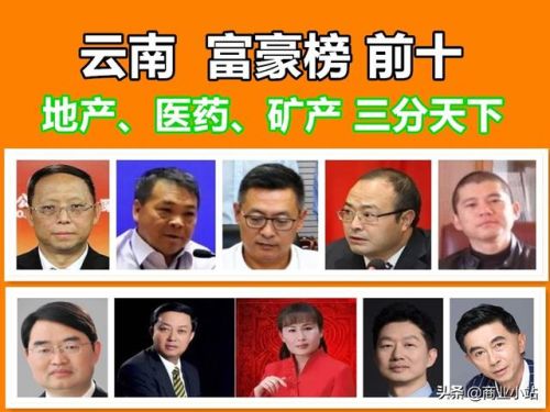 云南富豪榜2017排行榜(云南富豪排名50)插图