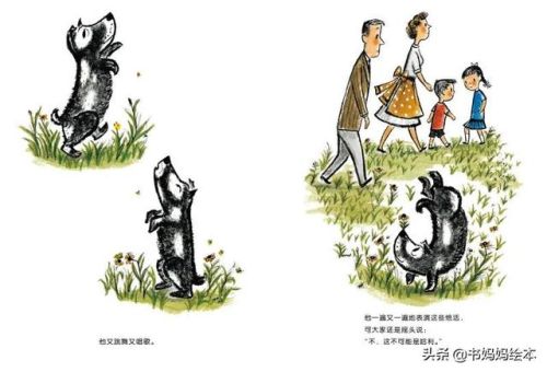 人气总排行榜狗狗书籍(哪些养狗的书比较实用)插图8