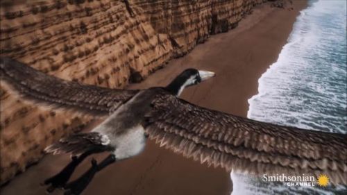 十大巨兽排行榜国语版(全球十大猛兽)插图2