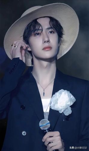 邢昭林男明星排行榜(邢昭林长得像谁)