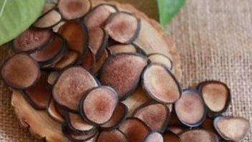 最贵的中药材排行榜(中国十大名贵药材)插图3