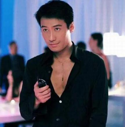 帅的明星男明星排行榜(中国公认十大美男)插图7