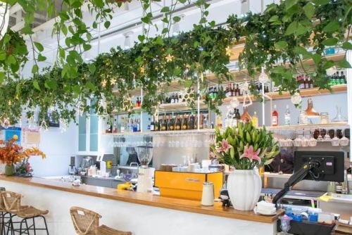 上海披萨加盟店排行榜(披萨加盟店10大品牌多少钱加盟费)插图76