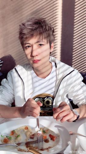 2017年第一网红排行榜(2019十大网红人物)插图2