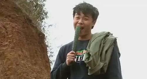 十大金典电视剧排行榜(二十部经典高分电视剧)插图16