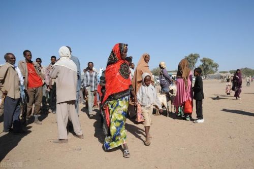 木薯排行榜(木薯有几种品种图片)插图10