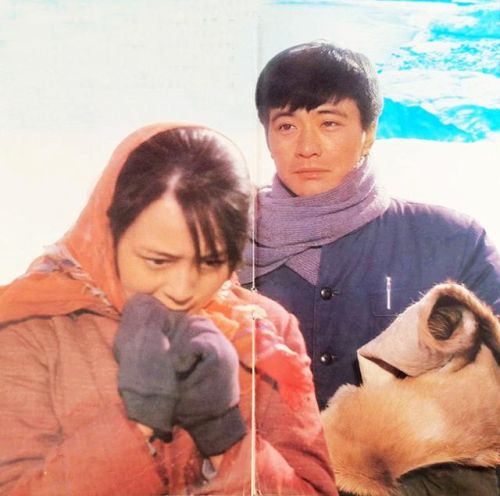 爱情大片排行榜前十名(必看的经典爱情电影)插图32