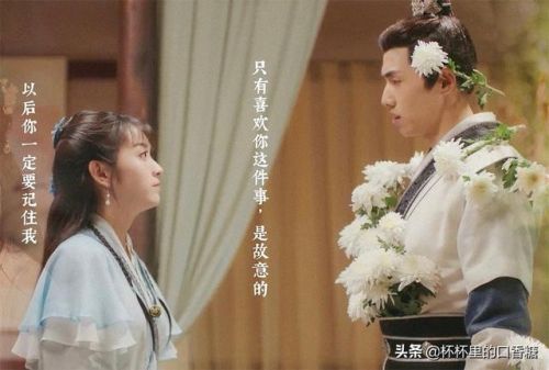 2017言情剧排行榜(评分最高的言情电视剧)插图17