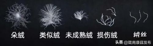 羽绒服奢侈品牌排行榜(世界十大奢侈品羽绒服)插图3 羽绒服奢侈品牌排行榜(世界十大奢侈品羽绒服)插图3