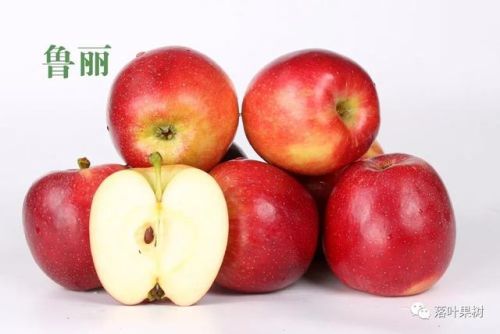 临沂水果加盟店排行榜(水果加盟连锁店首选)