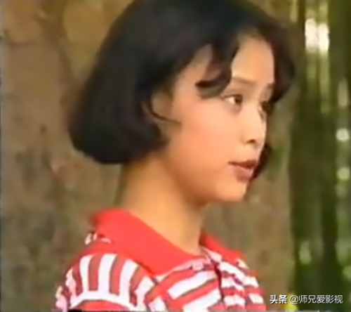 好看的蝶电视剧排行榜(带有蝴蝶的电视剧)