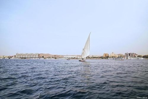 上水排行榜(自动上水电热水壶品牌排行榜前十名)插图14