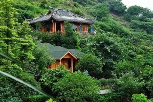 双流附近农家乐排行榜(成都华阳农家乐推荐排行榜)插图13