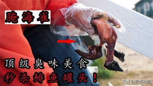 世界最臭美食排行榜(世界上十大最臭的食物是什么)