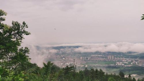 抚州的景点排名前十(抚州十大旅游景点)插图13 抚州的景点排名前十(抚州十大旅游景点)插图13