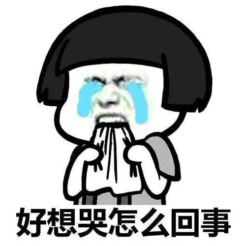 云南高冷地区排名前十(云南最冷的城市排名)插图9