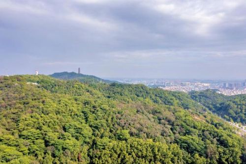 江门好玩的地方排行榜(江门蓬江区有什么好玩的地方)插图12 江门好玩的地方排行榜(江门蓬江区有什么好玩的地方)插图12