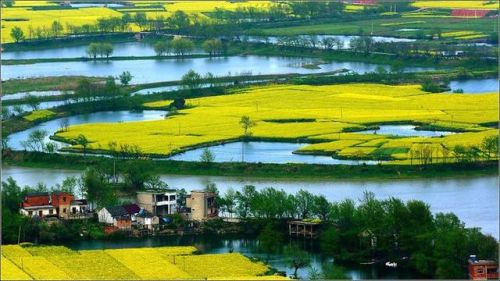 完结的田园小说排行榜(最经典穿越小说排行榜)插图7 完结的田园小说排行榜(最经典穿越小说排行榜)插图7