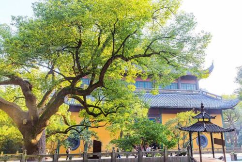 浙江好玩的景点排行榜(南京旅游景点有哪些好玩的)插图12