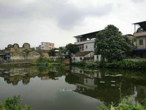 增城好玩的地方排行榜(广州增城区旅游景点)插图28