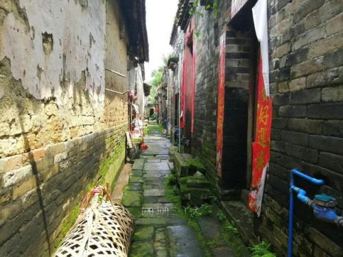 增城好玩的地方排行榜(广州增城区旅游景点)插图27