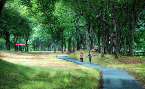 抚州的景点排名前十(抚州十大旅游景点)插图32 抚州的景点排名前十(抚州十大旅游景点)插图32