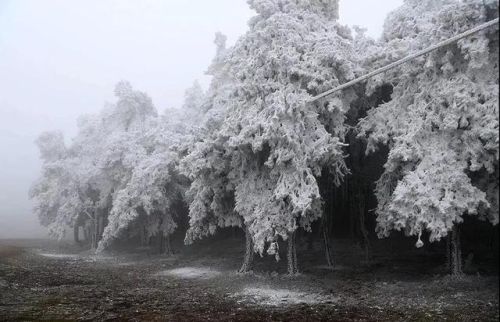 云南高冷地区排名前十(云南最冷的城市排名)插图5