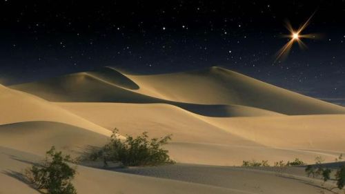 主播类小说排行榜(超级惊悚直播 内容)插图2 主播类小说排行榜(超级惊悚直播 内容)插图2