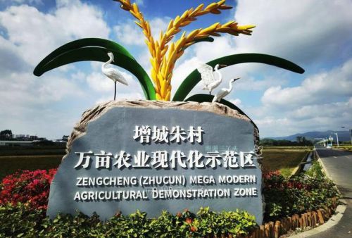 增城好玩的地方排行榜(广州增城区旅游景点)插图16