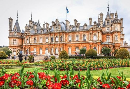 黑道排行榜前10名(黑道小说排名前十女主)插图2