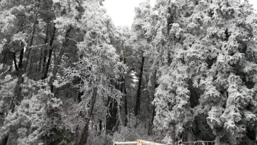 云南高冷地区排名前十(云南最冷的城市排名)插图6