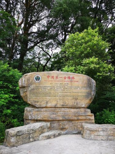 抚州的景点排名前十(抚州十大旅游景点)插图31 抚州的景点排名前十(抚州十大旅游景点)插图31