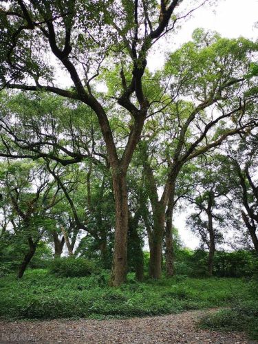 抚州的景点排名前十(抚州十大旅游景点)插图33 抚州的景点排名前十(抚州十大旅游景点)插图33