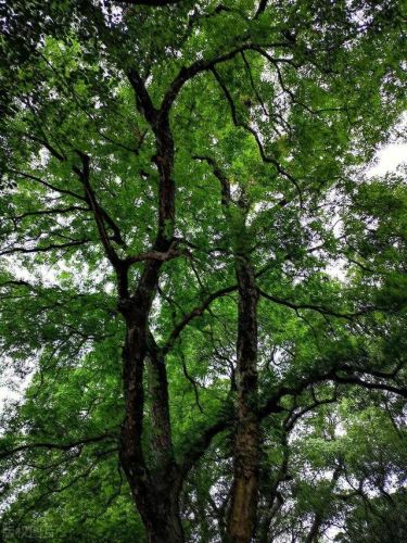 抚州的景点排名前十(抚州十大旅游景点)插图36 抚州的景点排名前十(抚州十大旅游景点)插图36