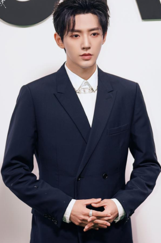 国内男演员人气排行榜(内地男演员前100名)插图7 国内男演员人气排行榜(内地男演员前100名)插图7